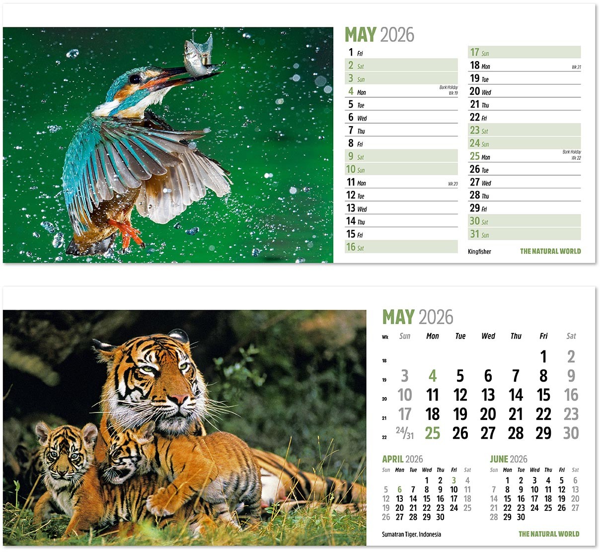 The Natural World Desk Calendar