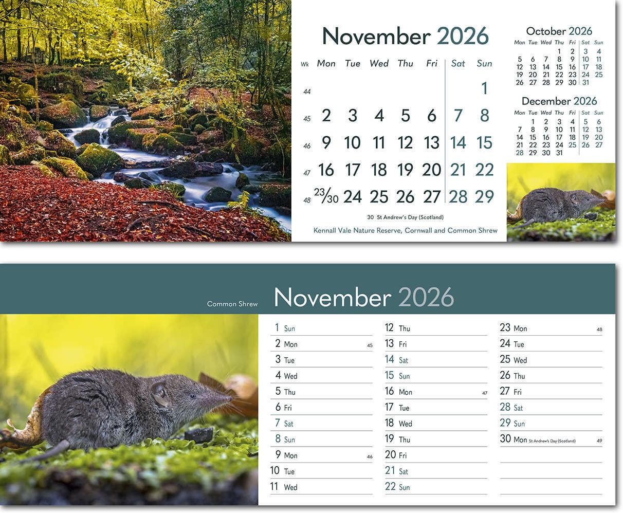 Rural Britain Task Station Desk Calendar