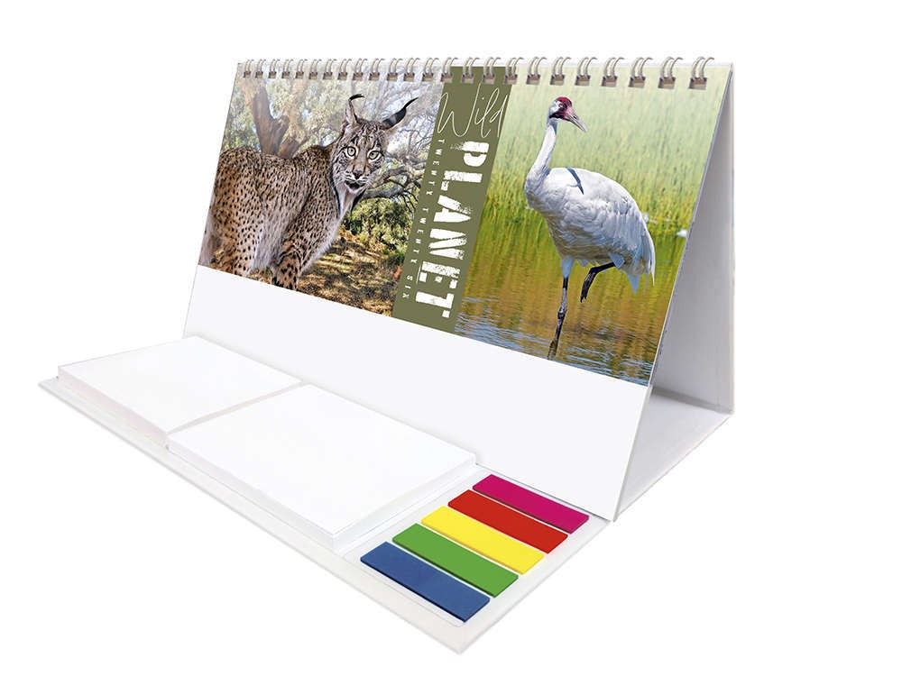 Wild Planet Note Station Desk Calendar 