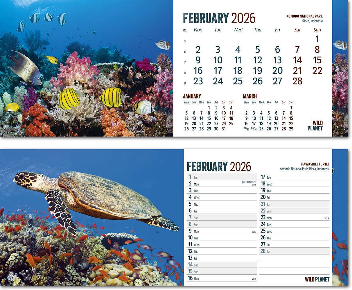 Wild Planet Note Station Desk Calendar 