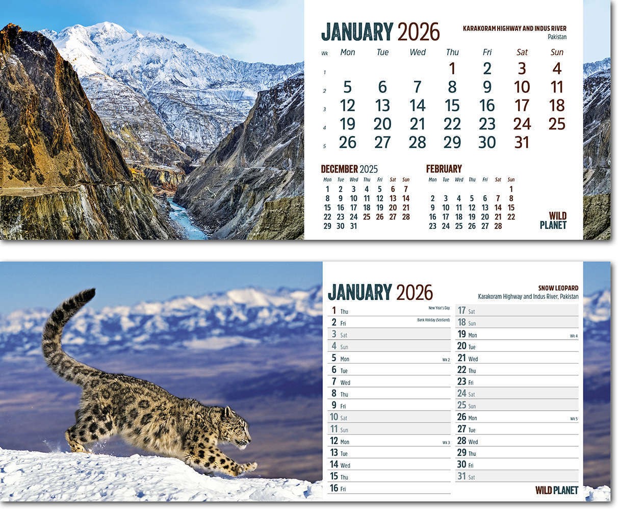 Wild Planet Note Station Desk Calendar 