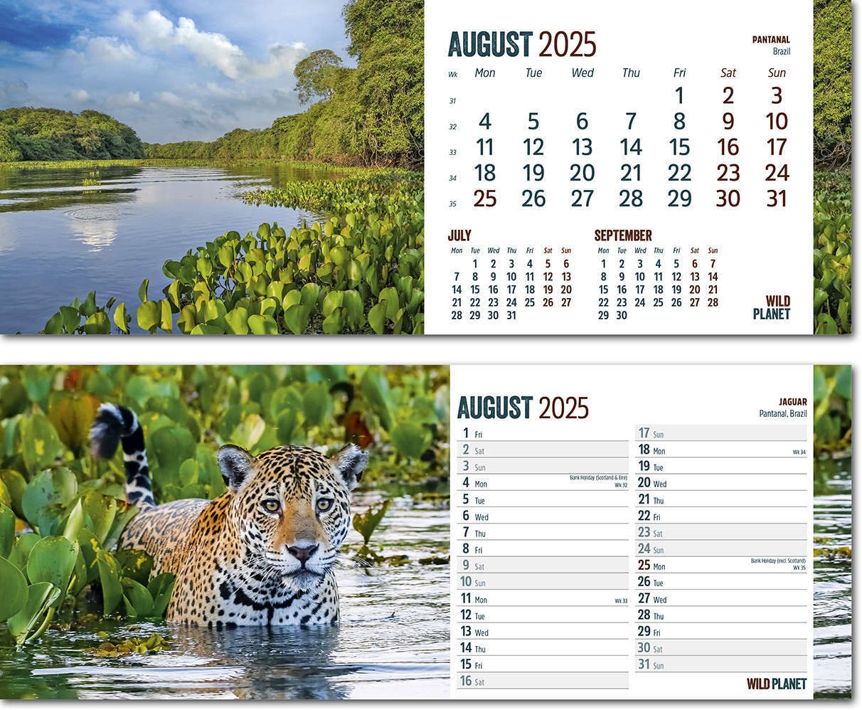 Wild Planet Premium Lined Easel Desk Calendar