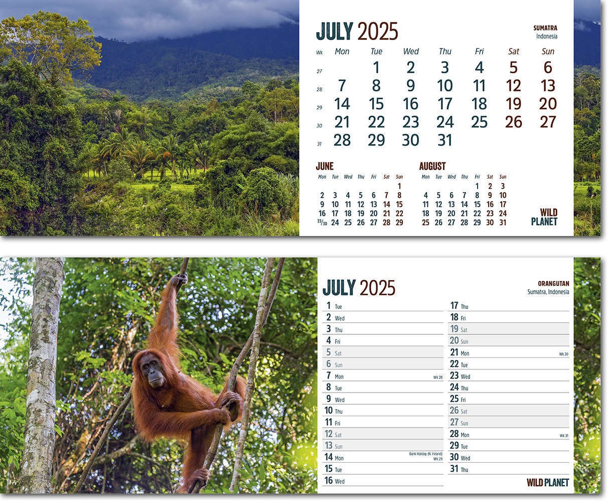 Wild Planet Premium Lined Easel Desk Calendar