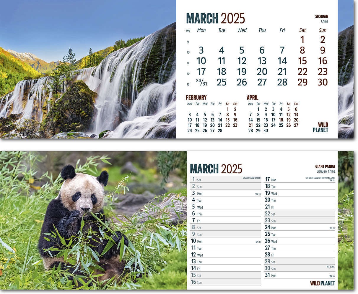 Wild Planet Premium Lined Easel Desk Calendar