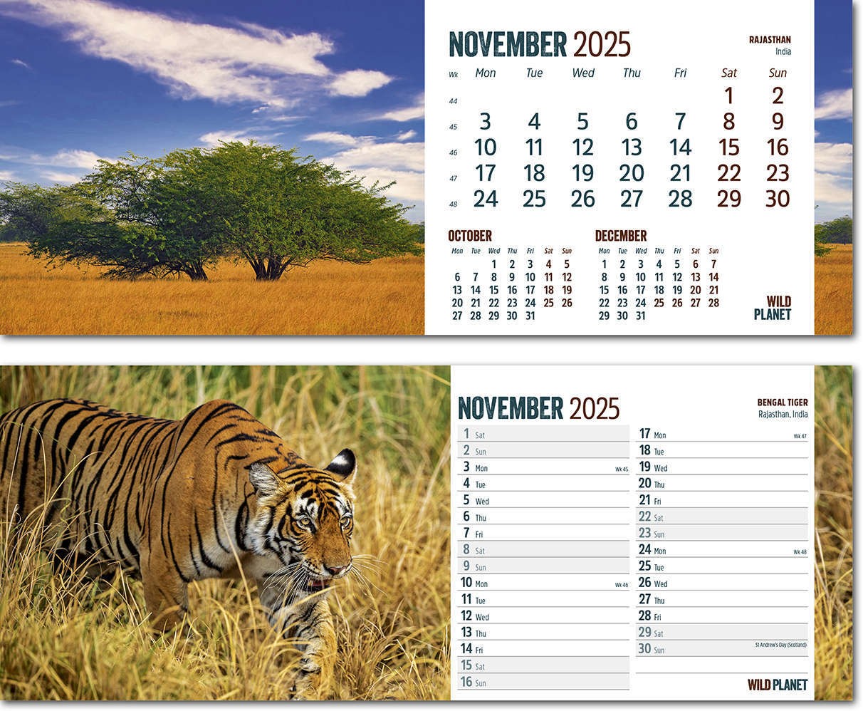 Wild Planet Premium Lined Easel Desk Calendar