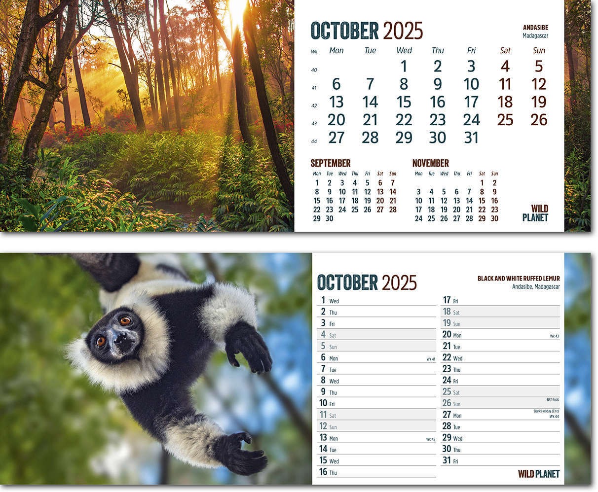 Wild Planet Premium Lined Easel Desk Calendar