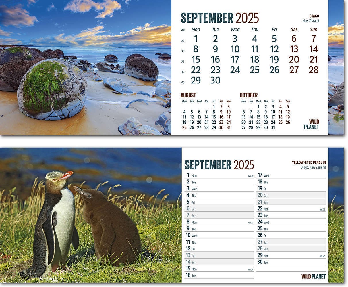 Wild Planet Premium Lined Easel Desk Calendar