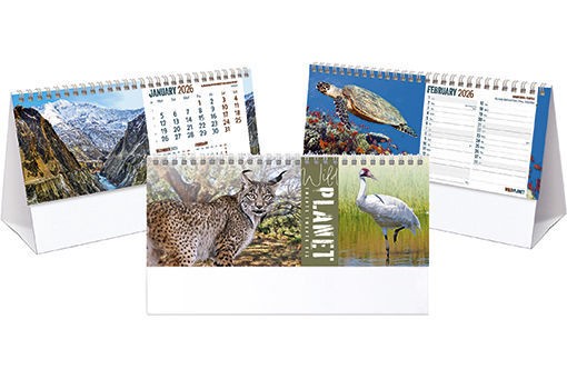 Wild Planet Desk Calendar