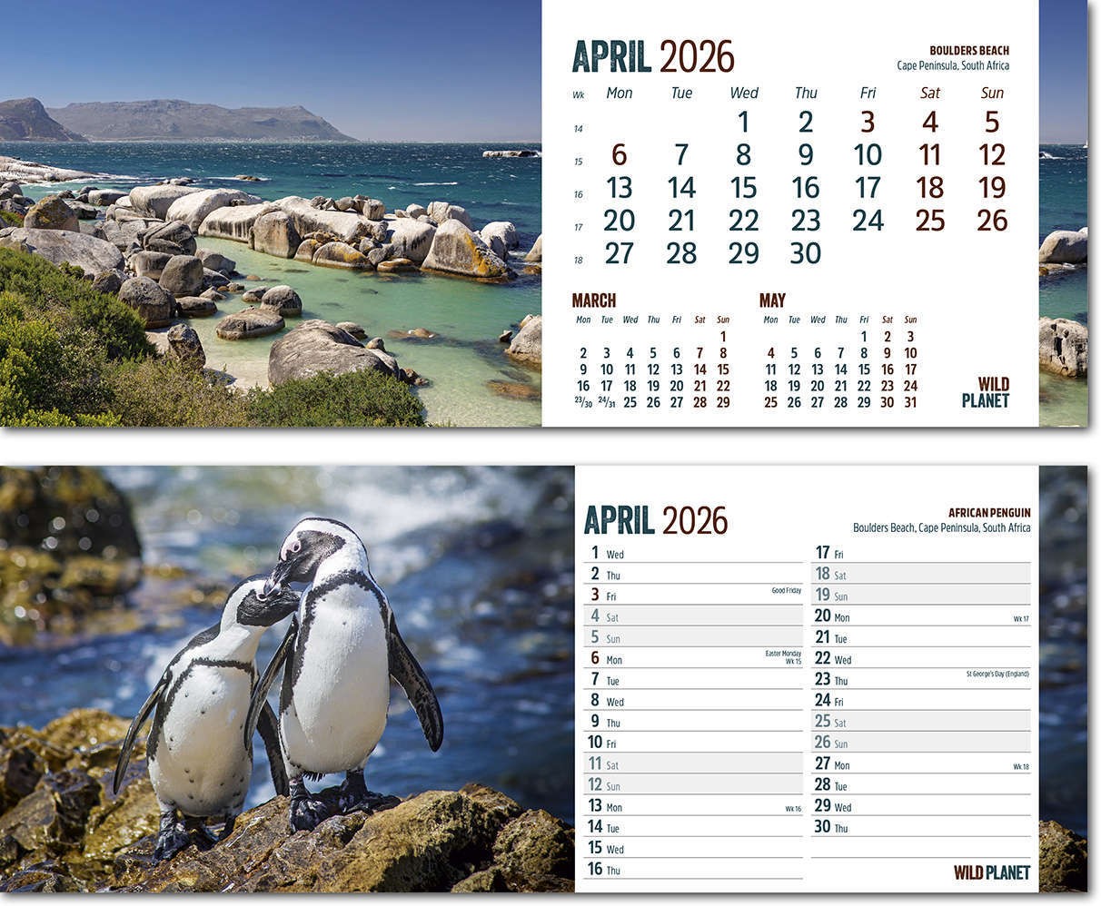 Wild Planet Desk Calendar