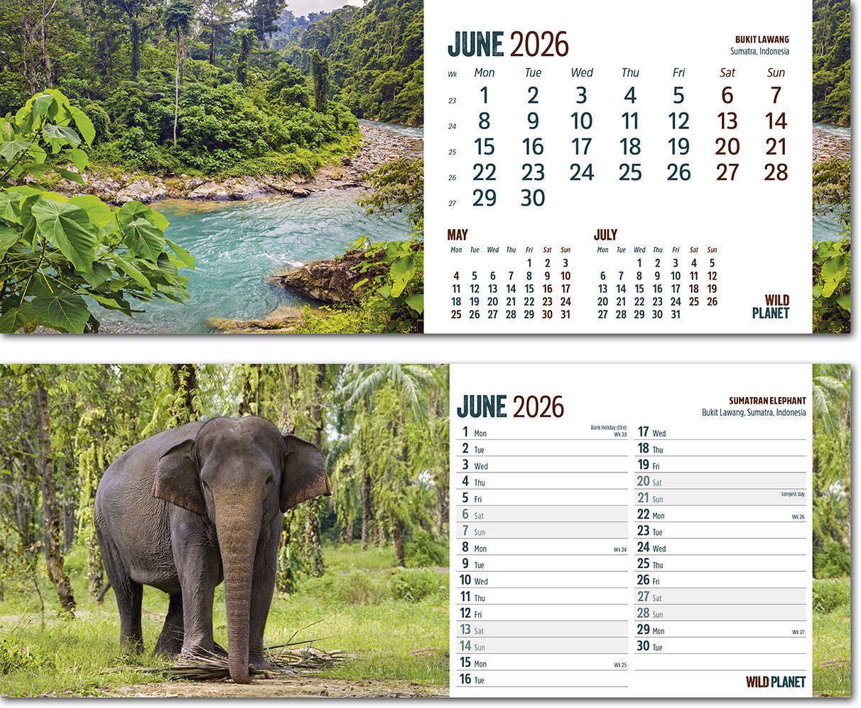 Wild Planet Desk Calendar