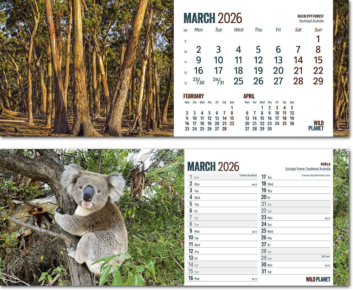 Wild Planet Desk Calendar