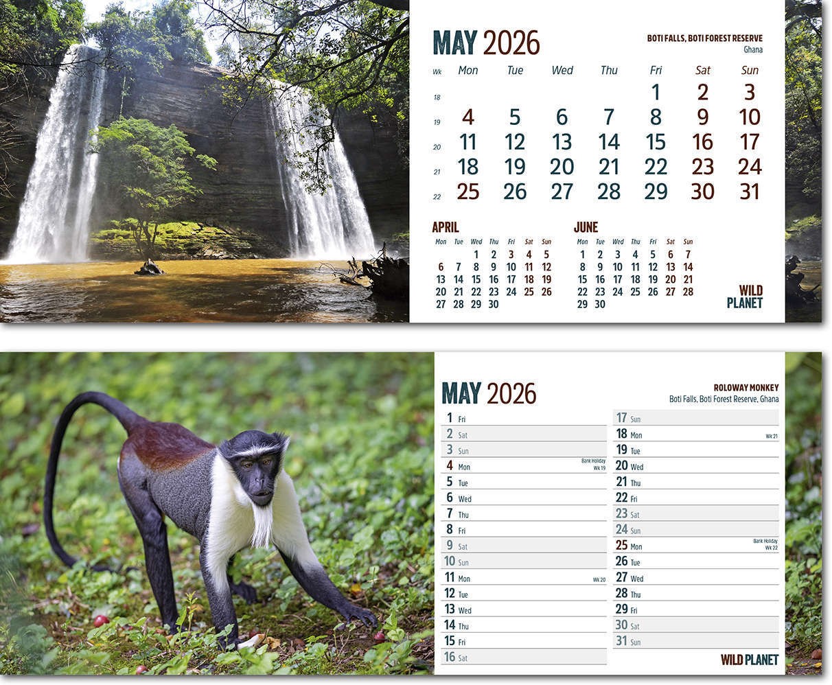 Wild Planet Desk Calendar