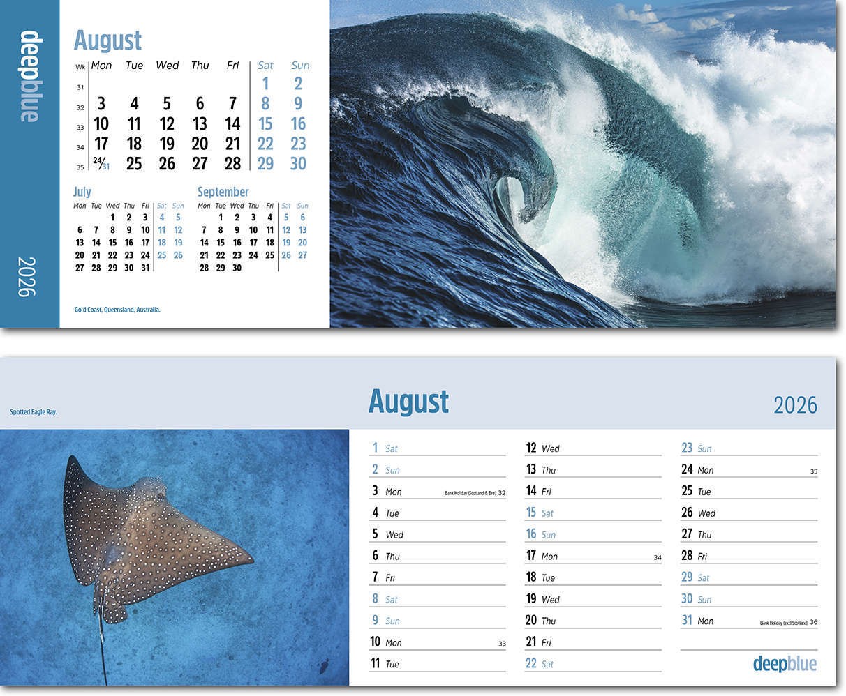 Deep Blue Premium Lined Easel Desk Calendar