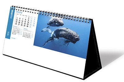 Deep Blue Premium Lined Easel Desk Calendar