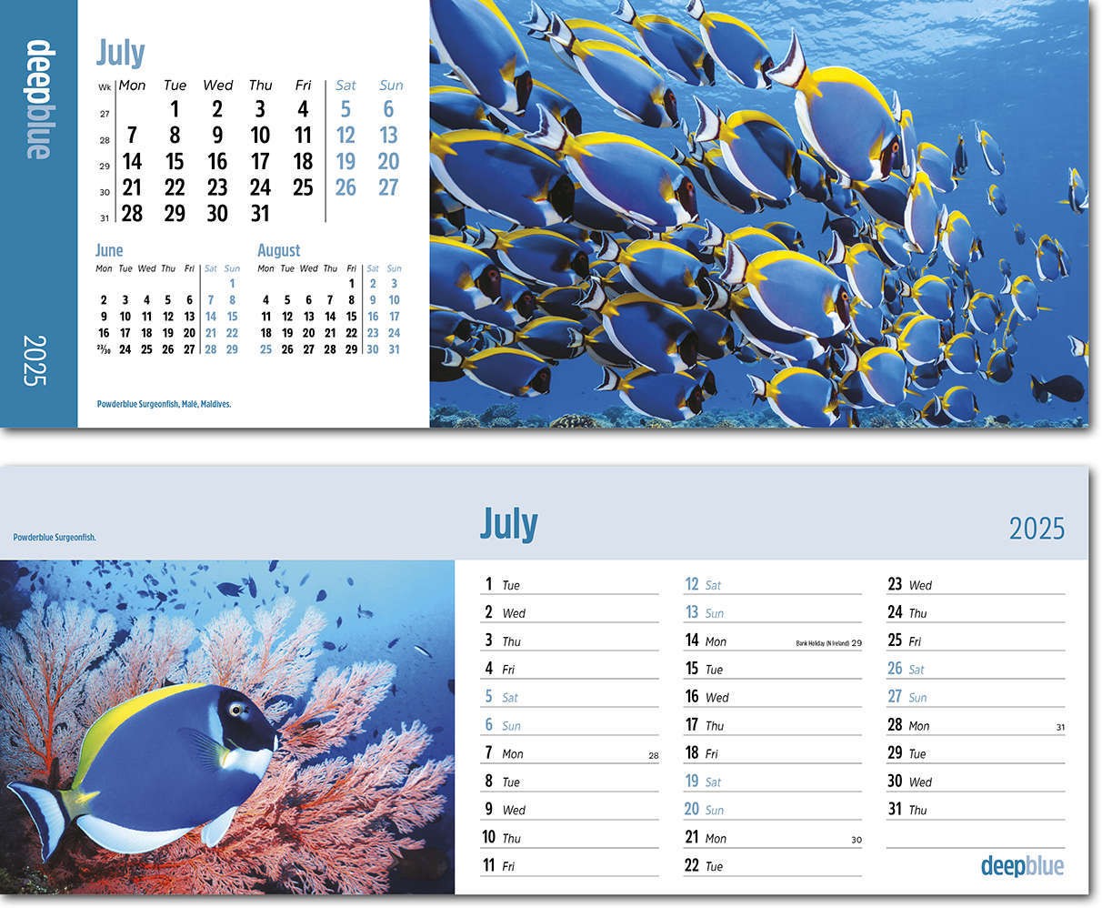 Deep Blue Premium Lined Easel Desk Calendar