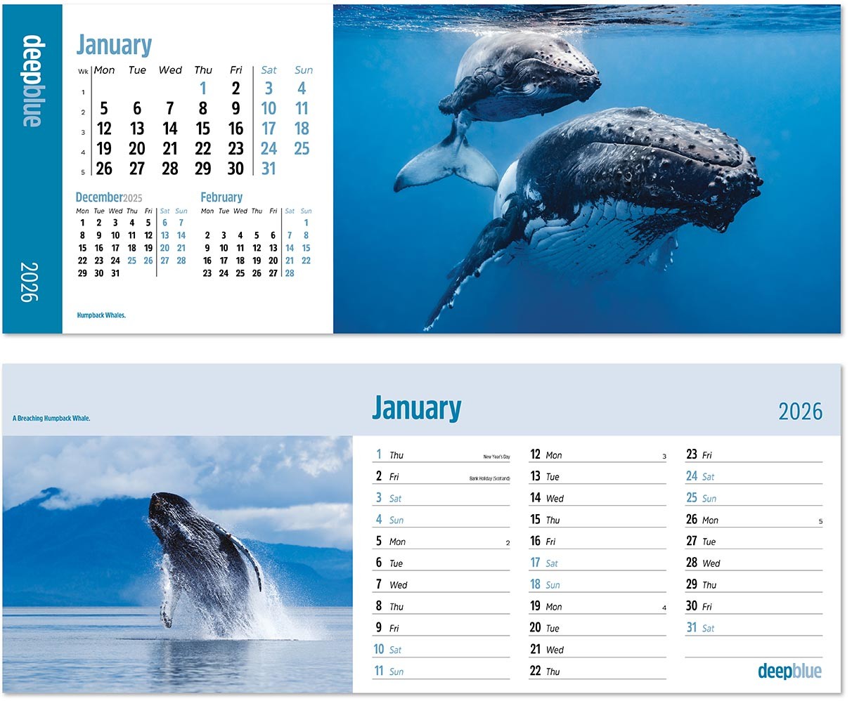 Deep Blue Desk Calendar