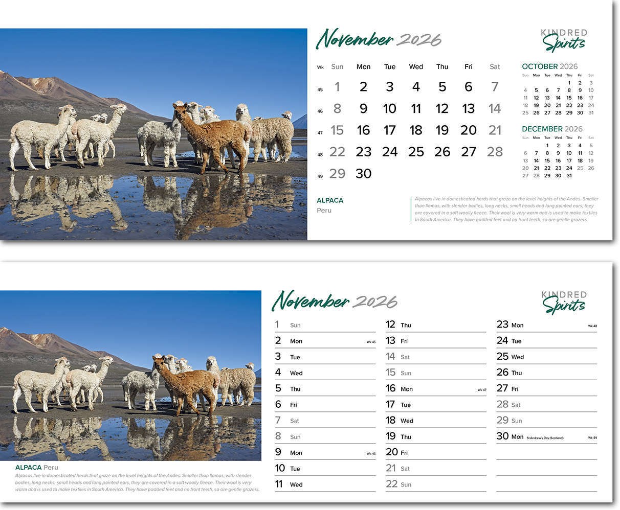 Kindred Spirits Premium Lined Easel Desk Calendar