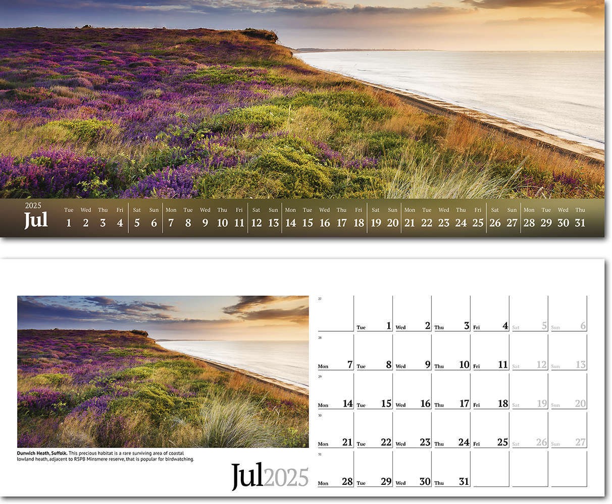 Wild Britain Premium Lined Easel Desk Calendar