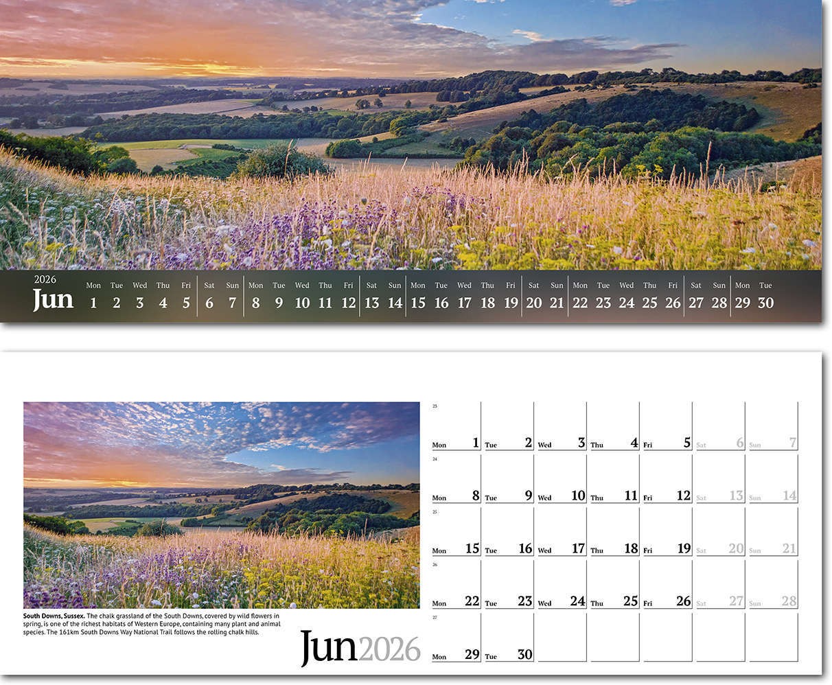 Wild Britain Task Station Desk Calendar