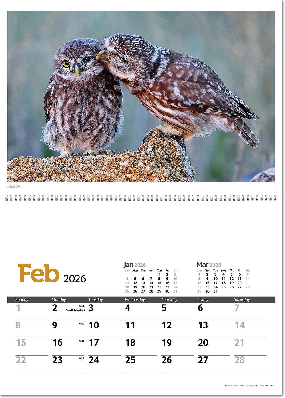 Wildlife in Britain Postage Saver Calendar