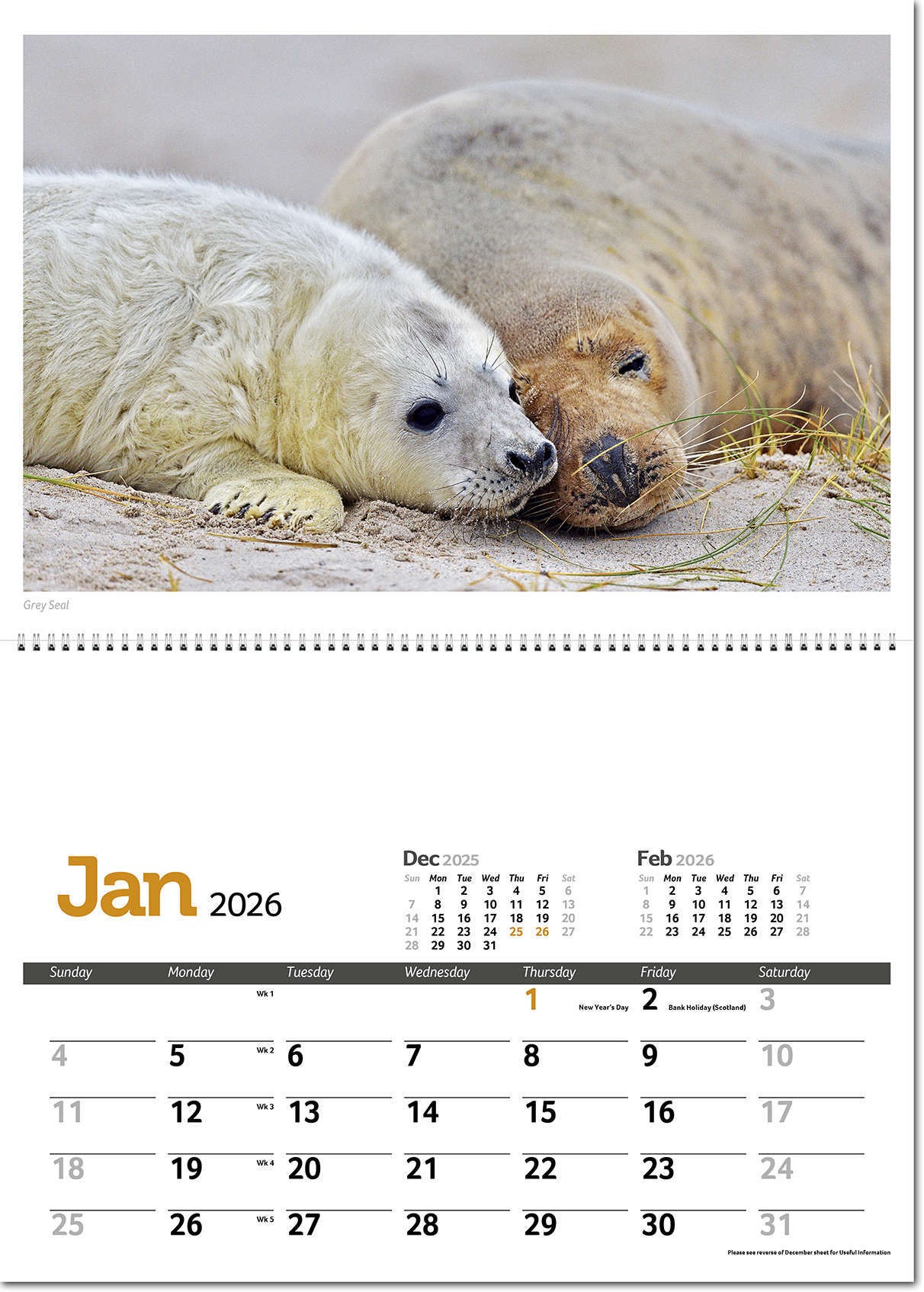 Wildlife in Britain Postage Saver Calendar