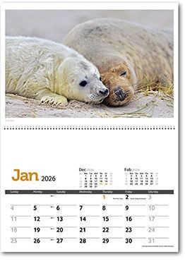 Wildlife in Britain Postage Saver Calendar