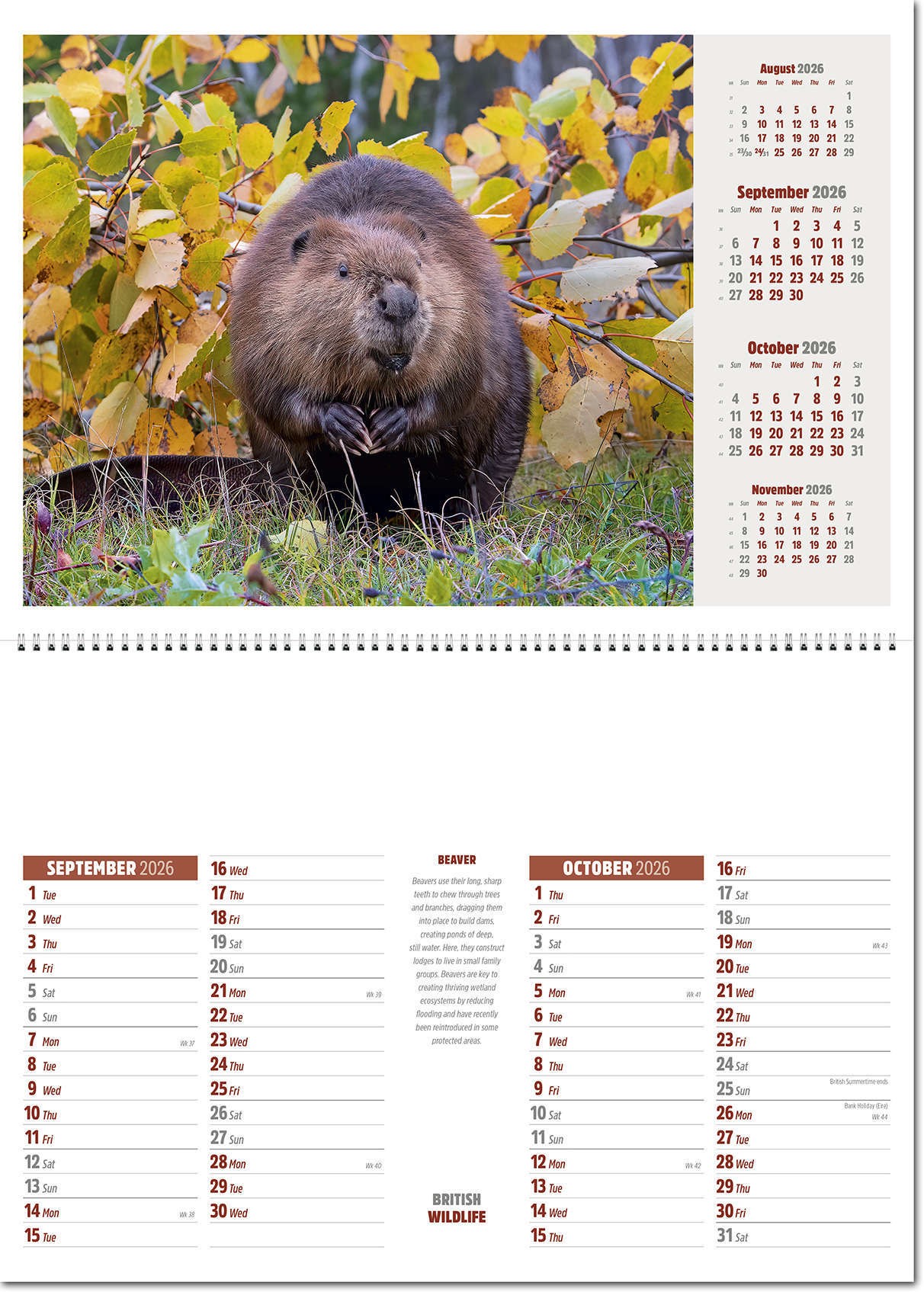 British Wildlife Postage Saver Calendar