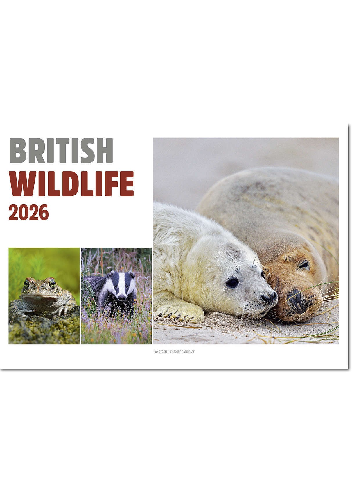 British Wildlife Postage Saver Calendar