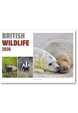 British Wildlife Postage Saver Calendar