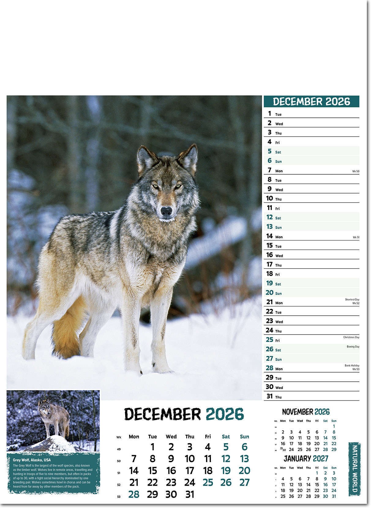 Natural World Wall Calendar