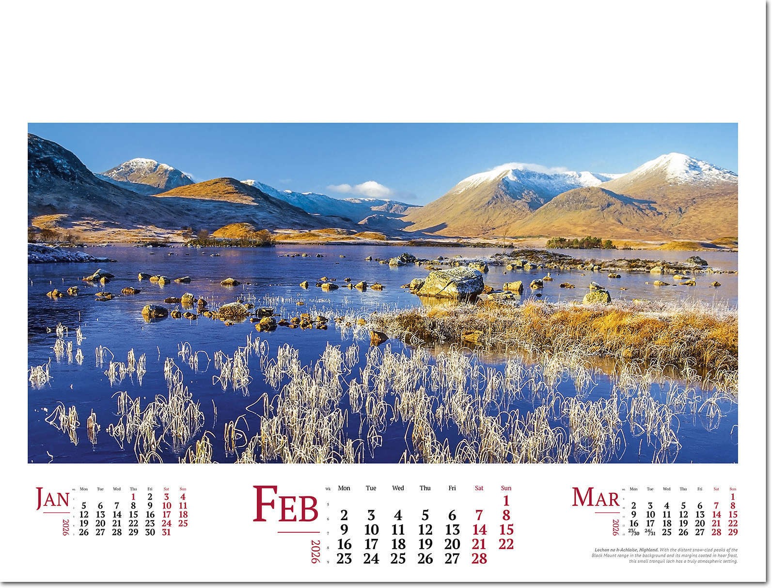 Wild Britain Wall Calendar