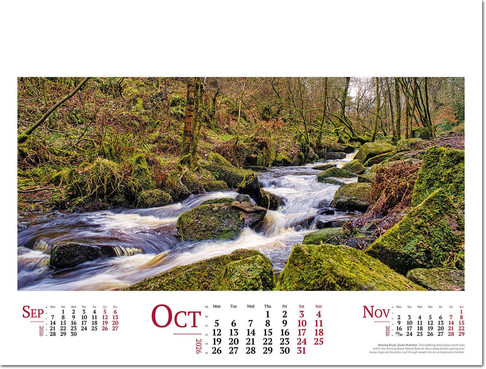 Wild Britain Wall Calendar