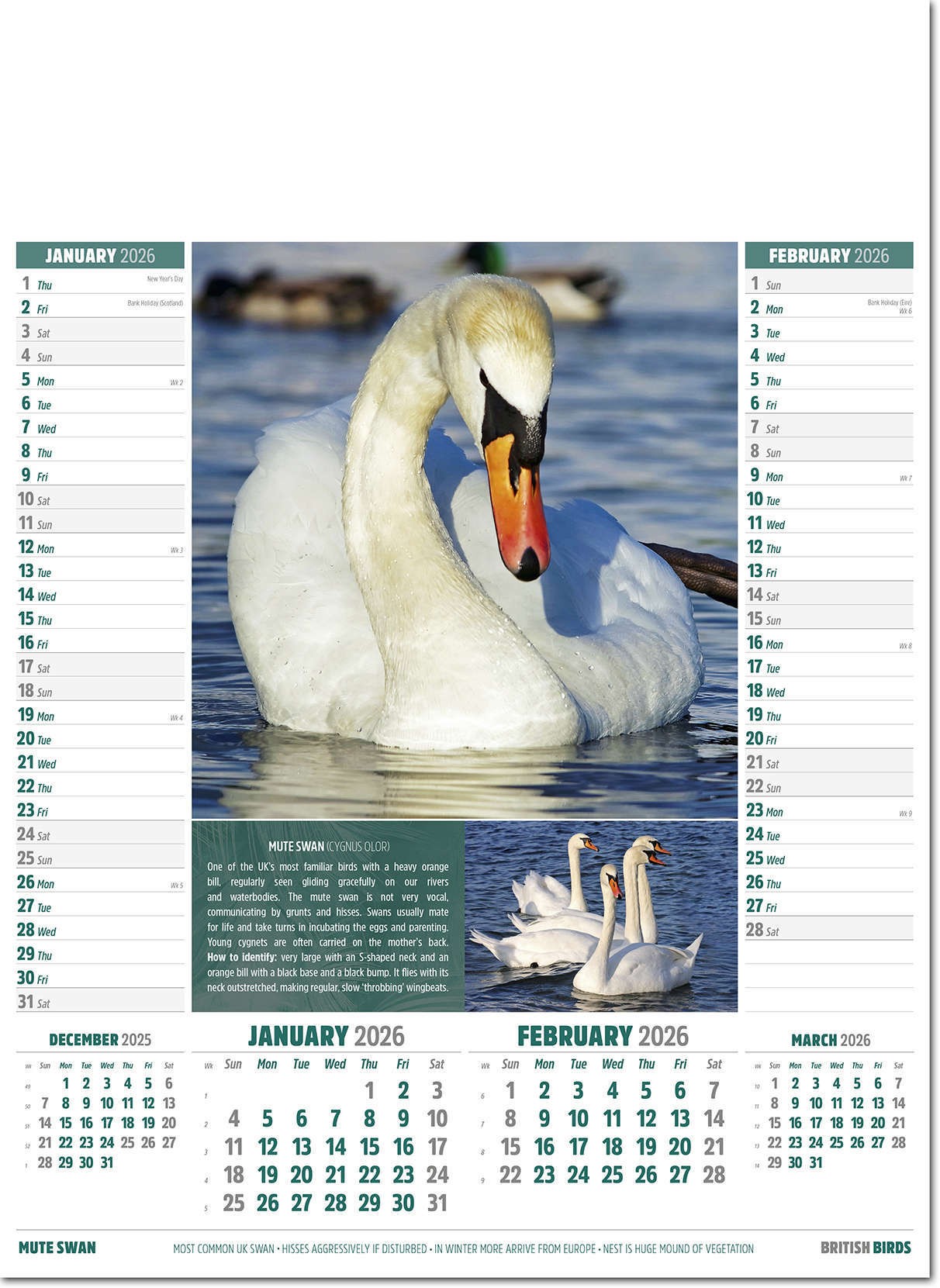 British Birds Calendar