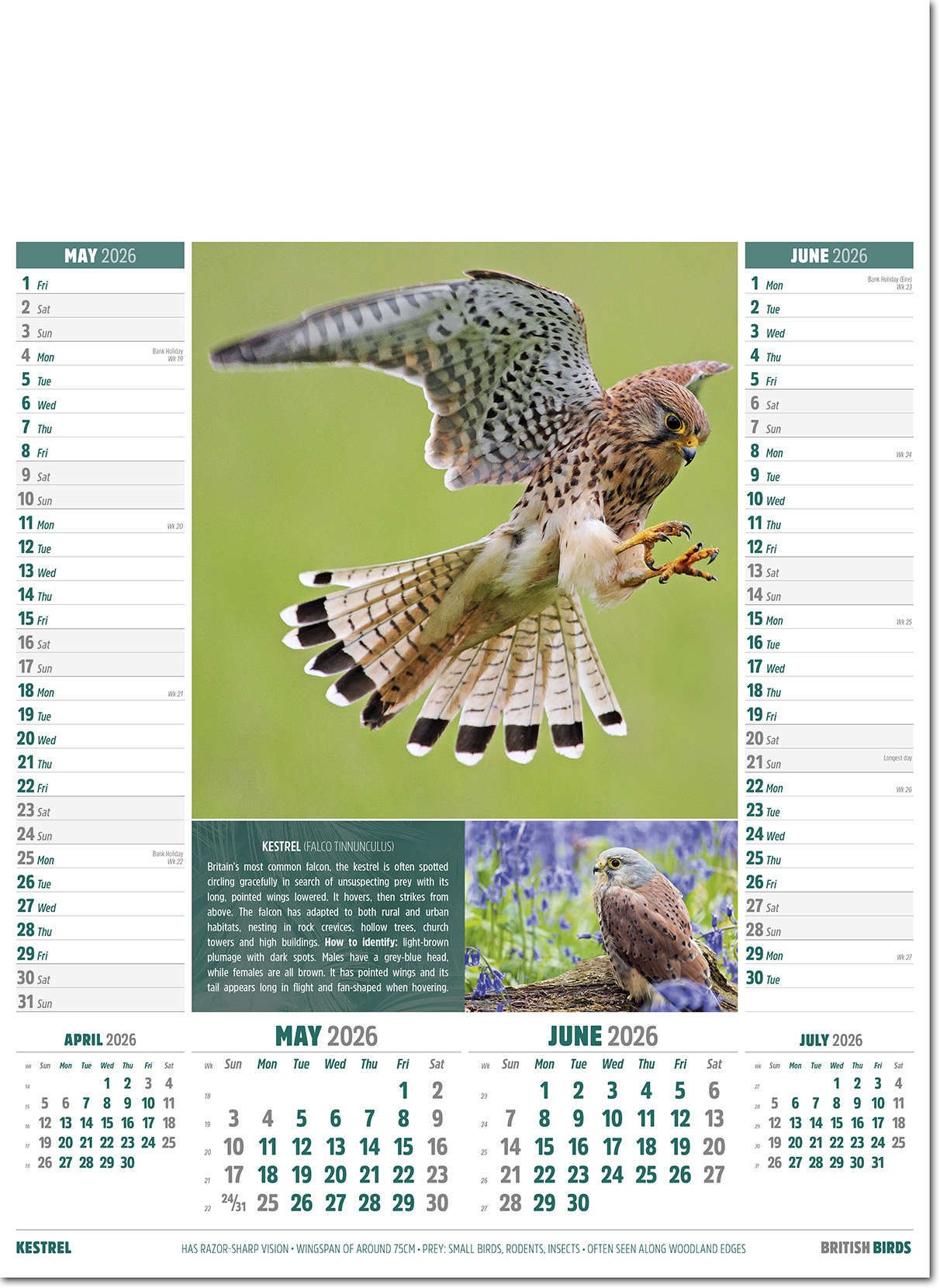 British Birds Calendar