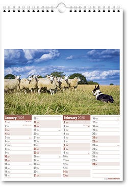 Down on the Farm Calendar