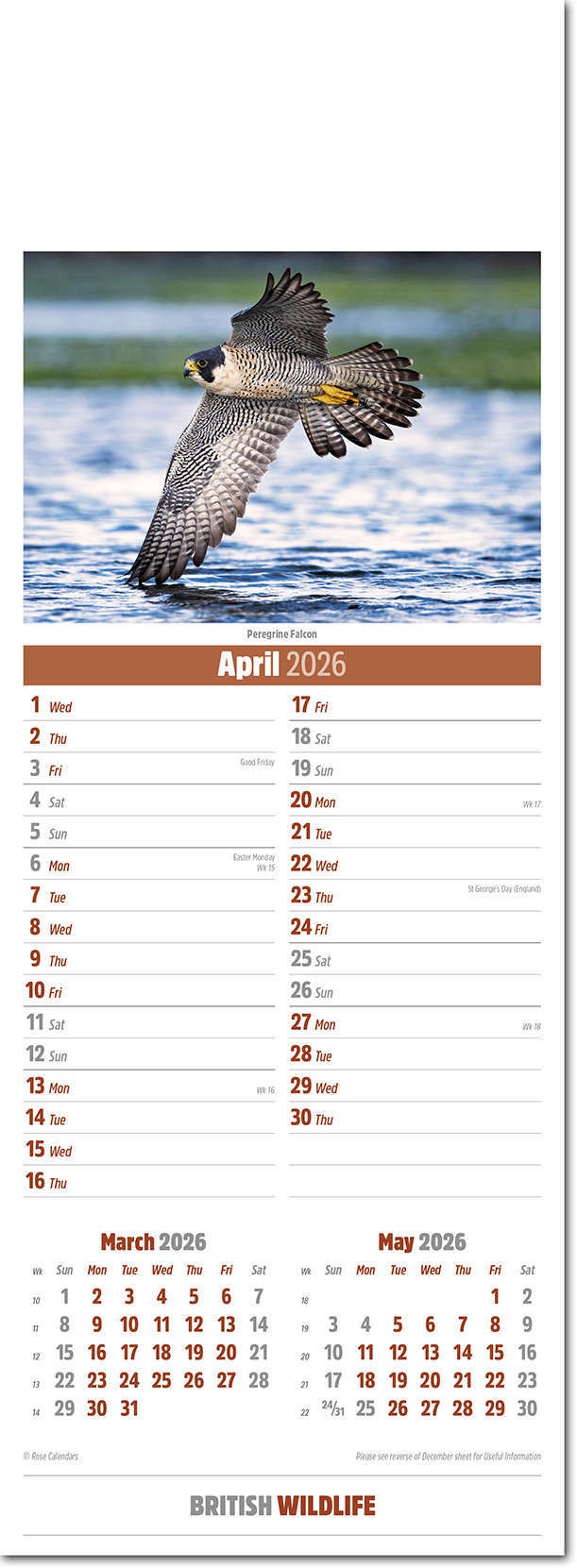 Slimline British Wildlife Calendar