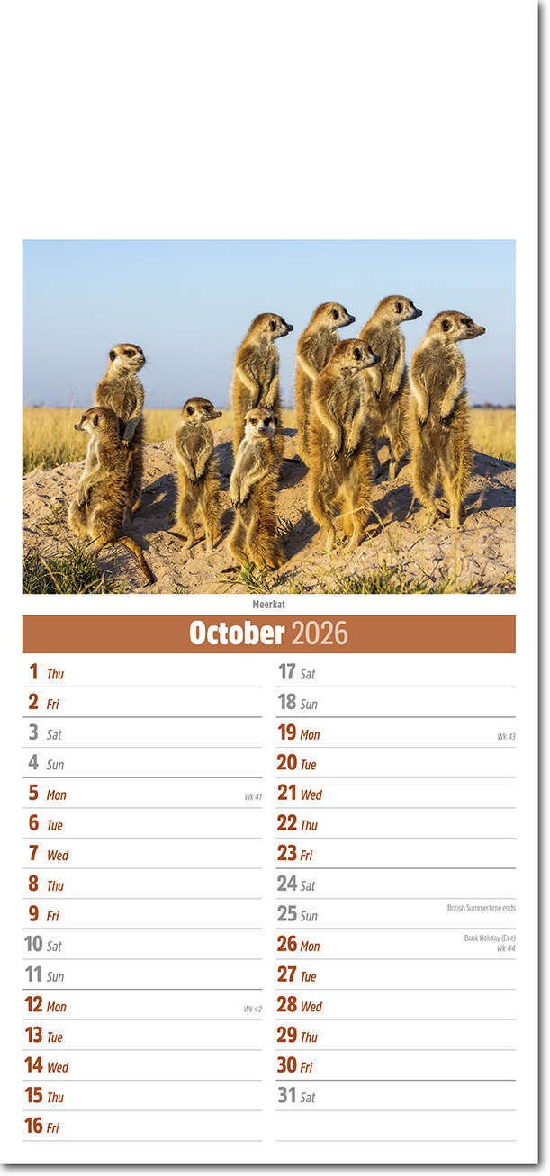 Slimline World Wildlife Compact Calendar