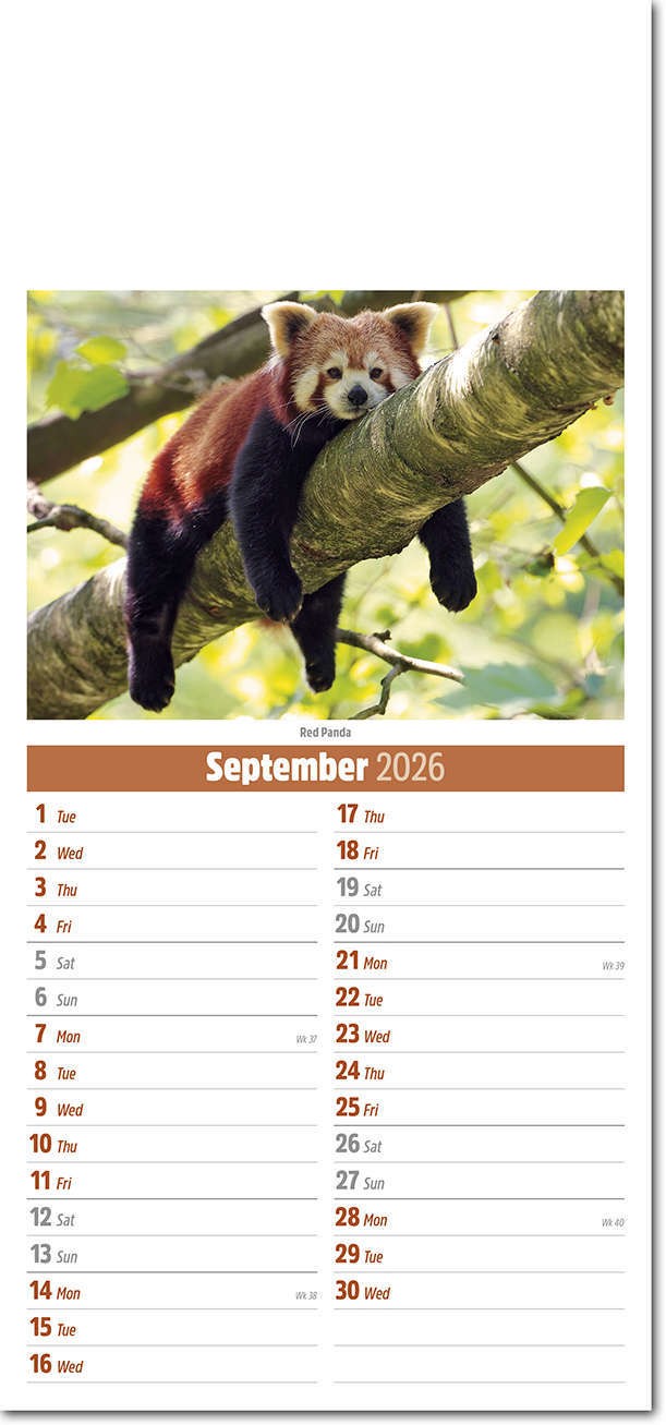 Slimline World Wildlife Compact Calendar