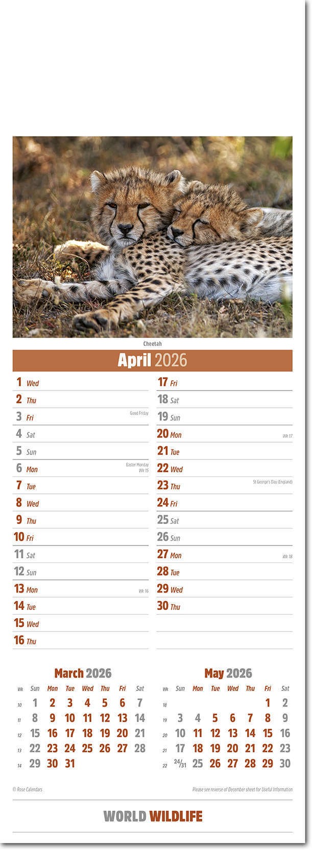 Slimline World Wildlife Calendar