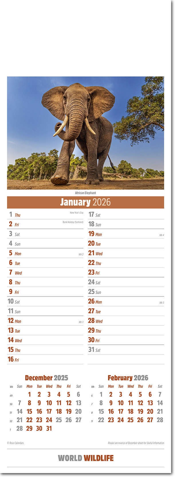 Slimline World Wildlife Calendar